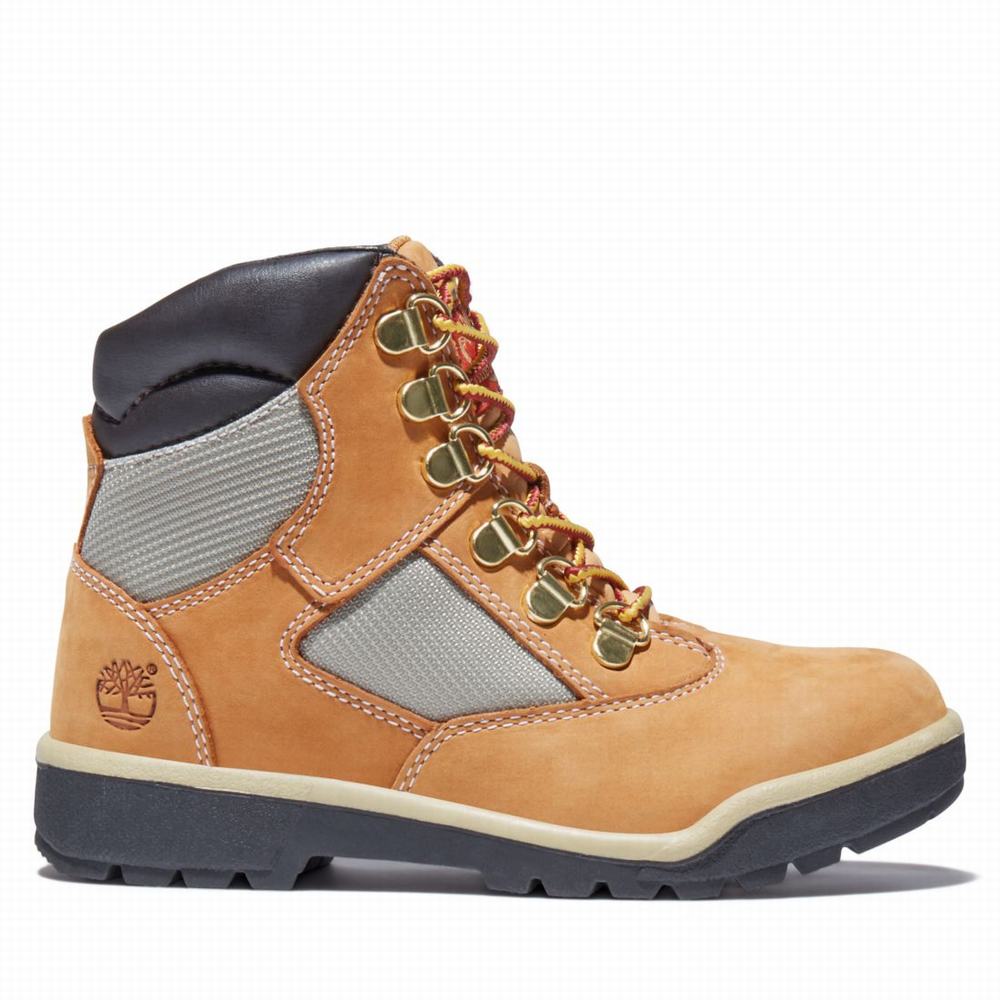 Timberland 6-Inch Field Bot Çocuk Kahverengi | TR-1304M