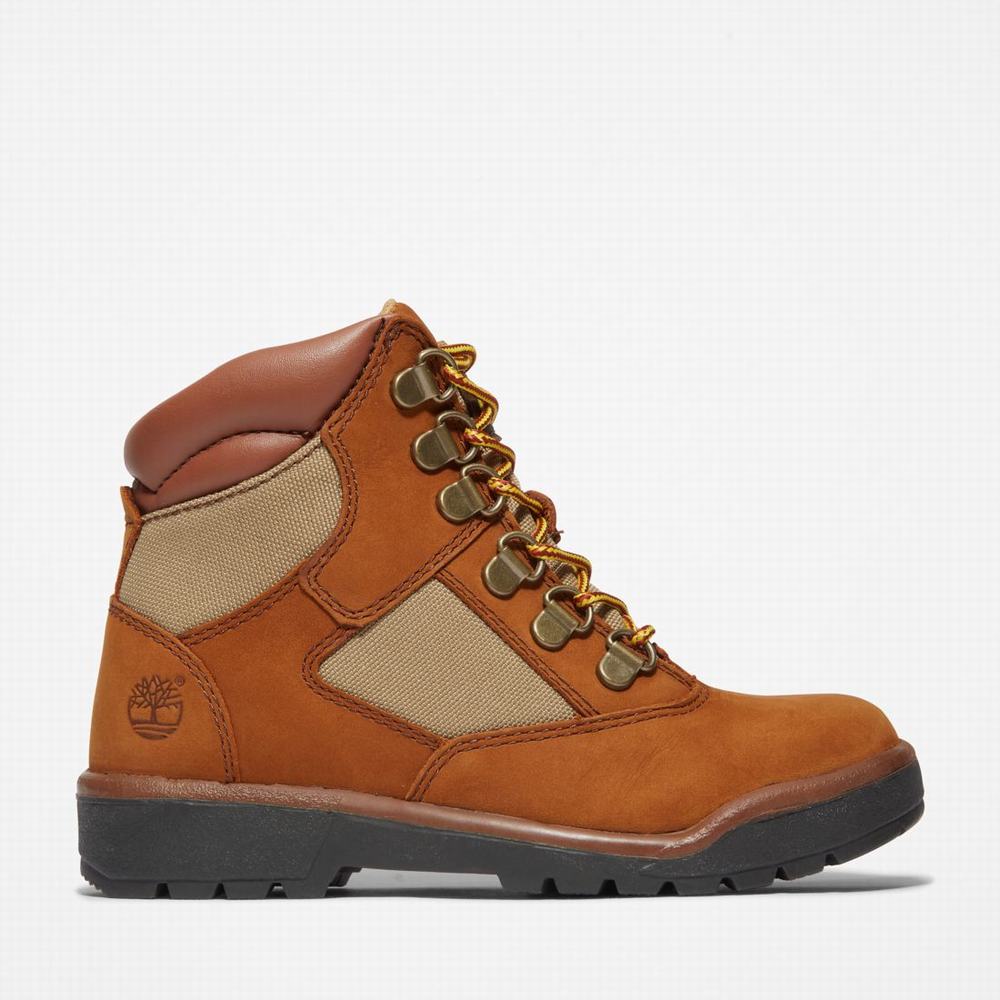 Timberland 6-Inch Field Bot Çocuk Kahverengi | TR-1532W
