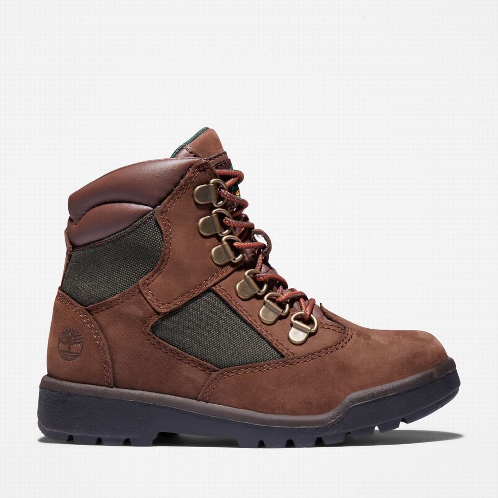 Timberland 6-Inch Field Bot Çocuk Koyu Kahverengi | TR-7324Q