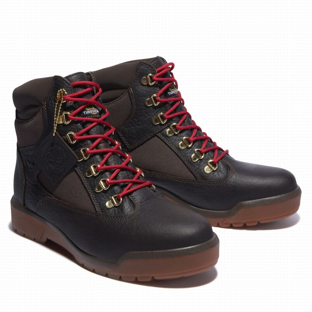 Timberland 6-Inch Waterproof Field Bot Erkek Koyu Kahverengi | TR-2478P