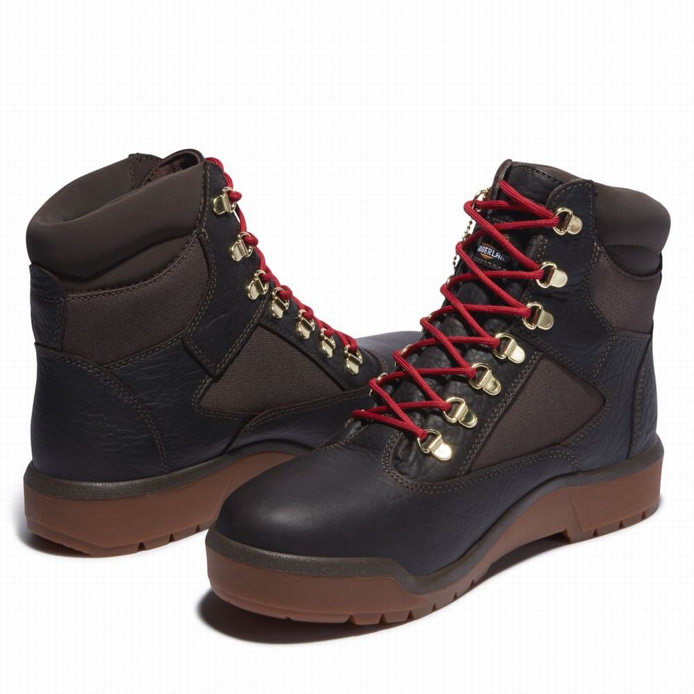Timberland 6-Inch Waterproof Field Bot Erkek Koyu Kahverengi | TR-2478P