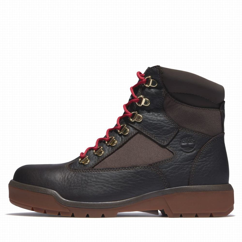 Timberland 6-Inch Waterproof Field Bot Erkek Koyu Kahverengi | TR-2478P