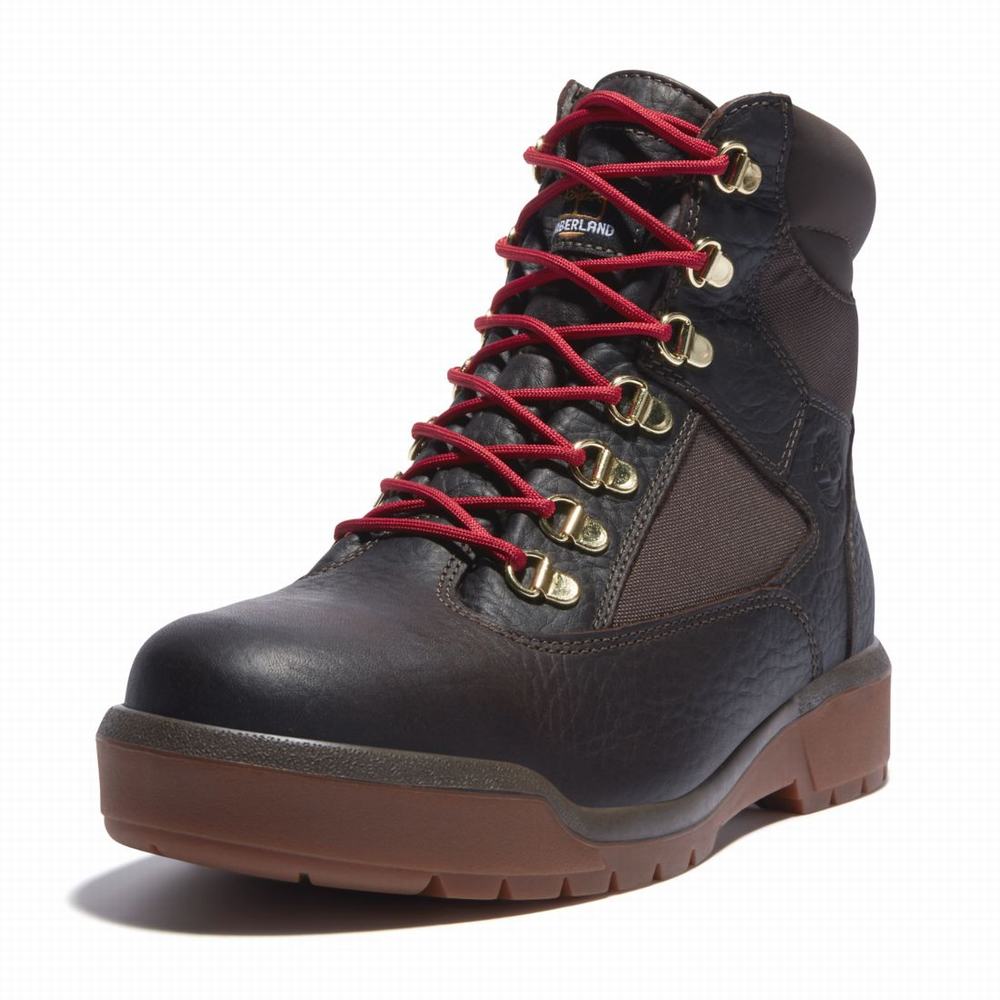 Timberland 6-Inch Waterproof Field Bot Erkek Koyu Kahverengi | TR-2478P