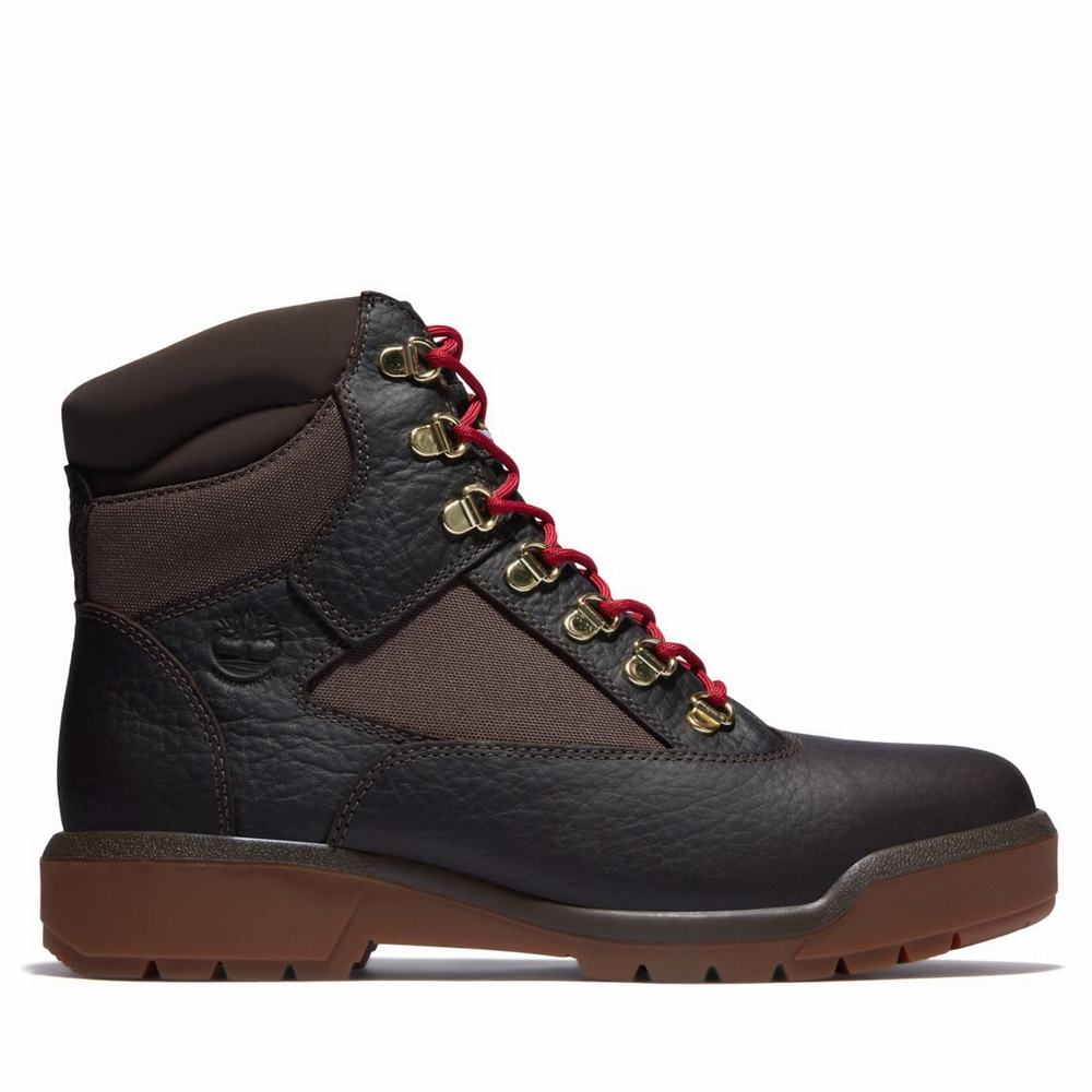 Timberland 6-Inch Waterproof Field Bot Erkek Koyu Kahverengi | TR-2478P