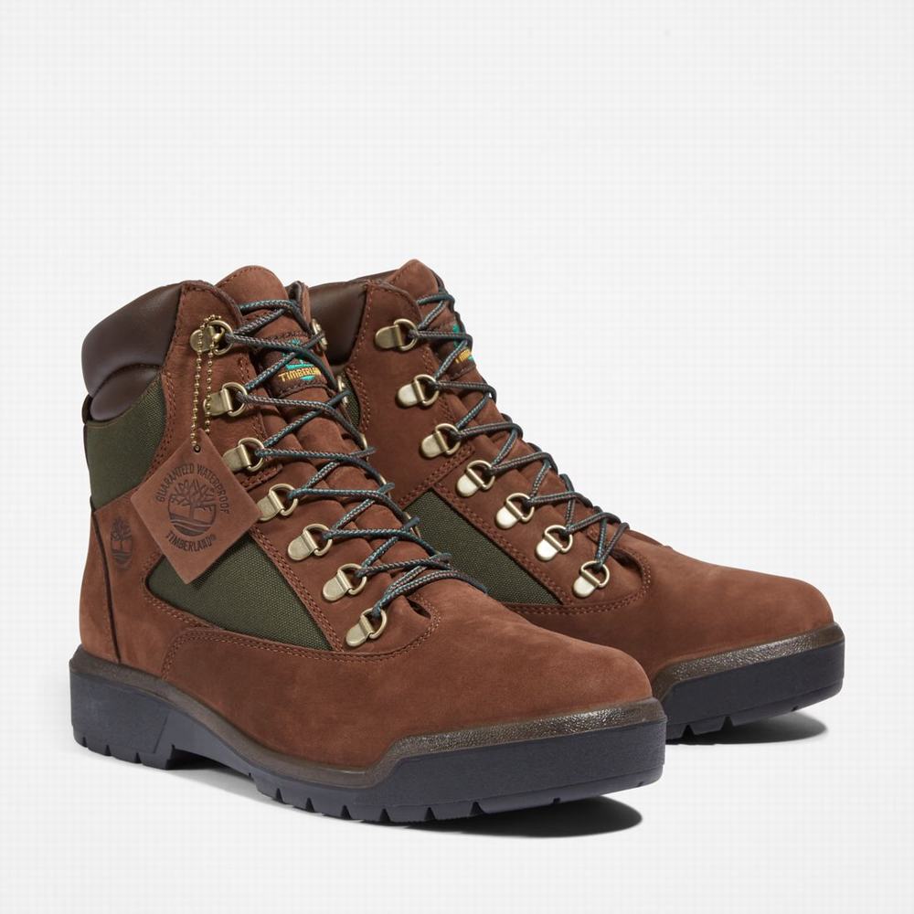 Timberland 6-Inch Waterproof Field Bot Erkek Koyu Kahverengi | TR-2706A