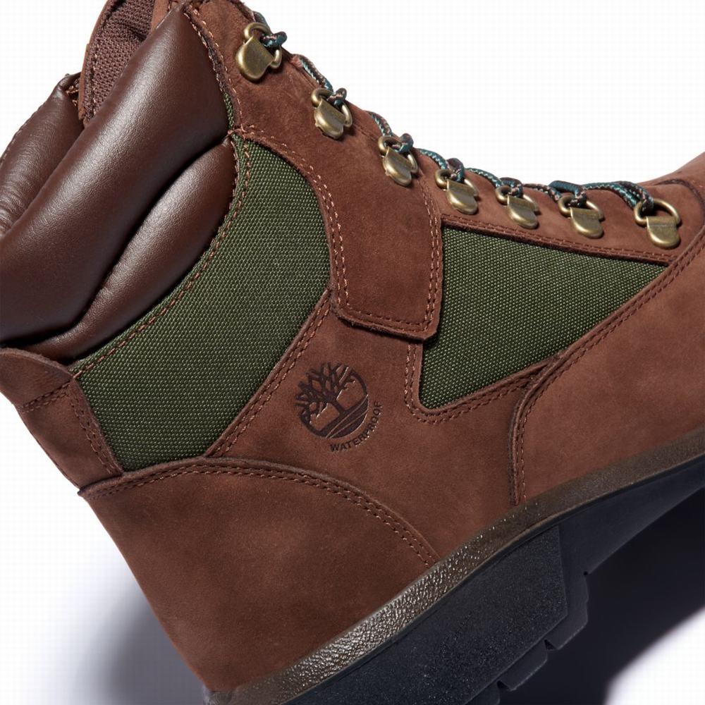 Timberland 6-Inch Waterproof Field Bot Erkek Koyu Kahverengi | TR-2706A
