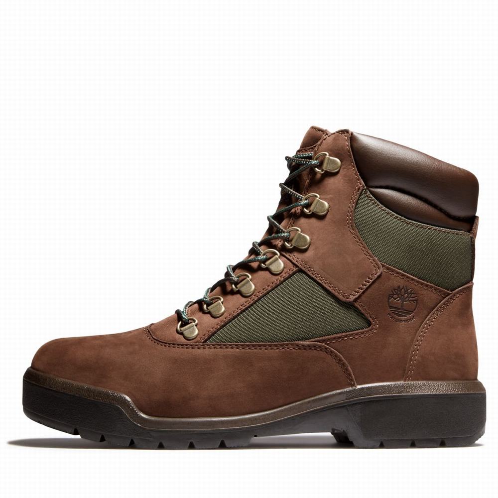 Timberland 6-Inch Waterproof Field Bot Erkek Koyu Kahverengi | TR-2706A