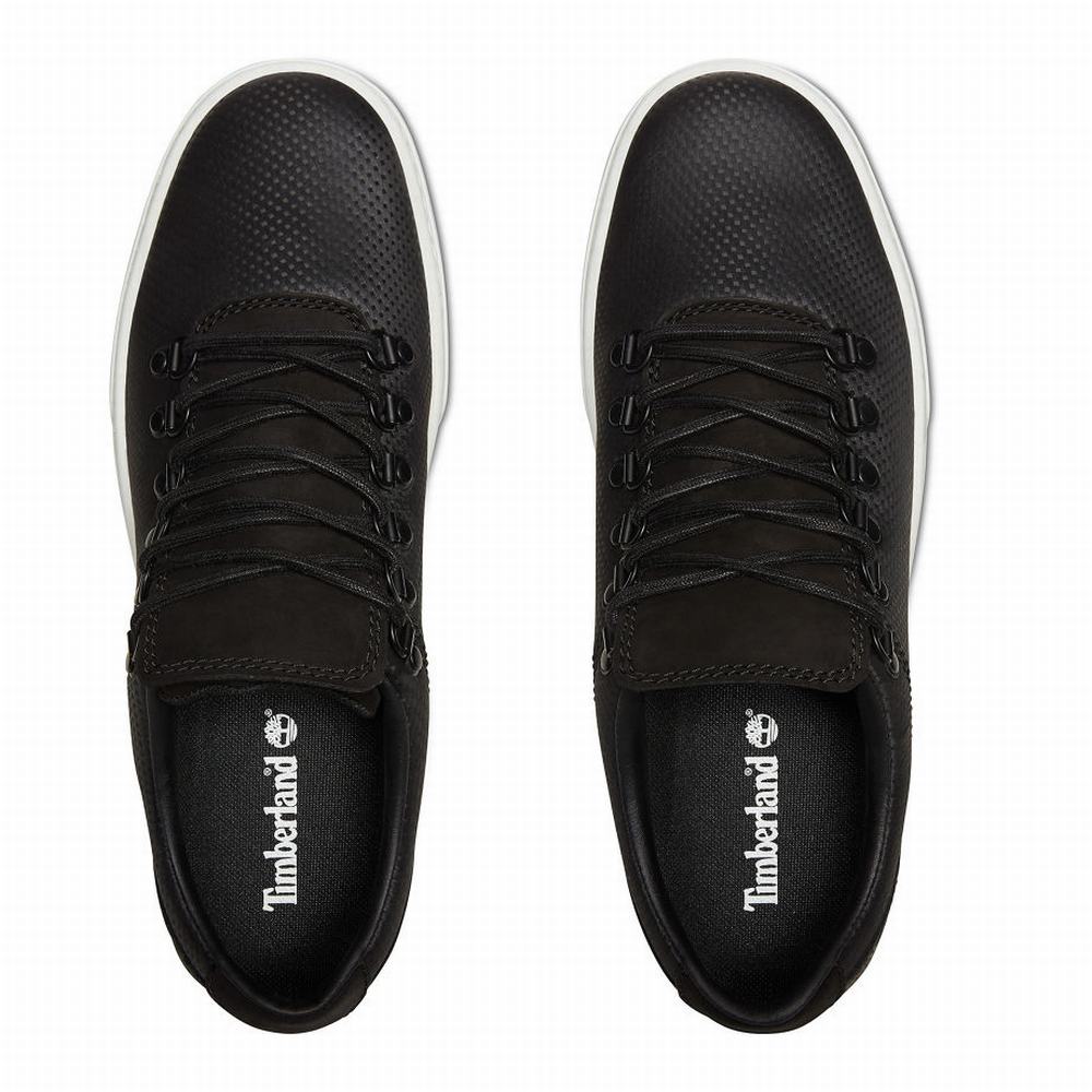 Timberland Adventure 2.0 Alpine Oxford Spor Ayakkabı Erkek Siyah | TR-5391G