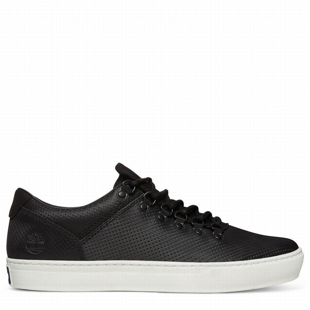 Timberland Adventure 2.0 Alpine Oxford Spor Ayakkabı Erkek Siyah | TR-5391G