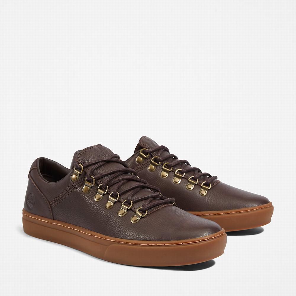 Timberland Adventure 2.0 Cupsole Alpine Spor Ayakkabı Erkek Koyu Kahverengi | TR-0319X