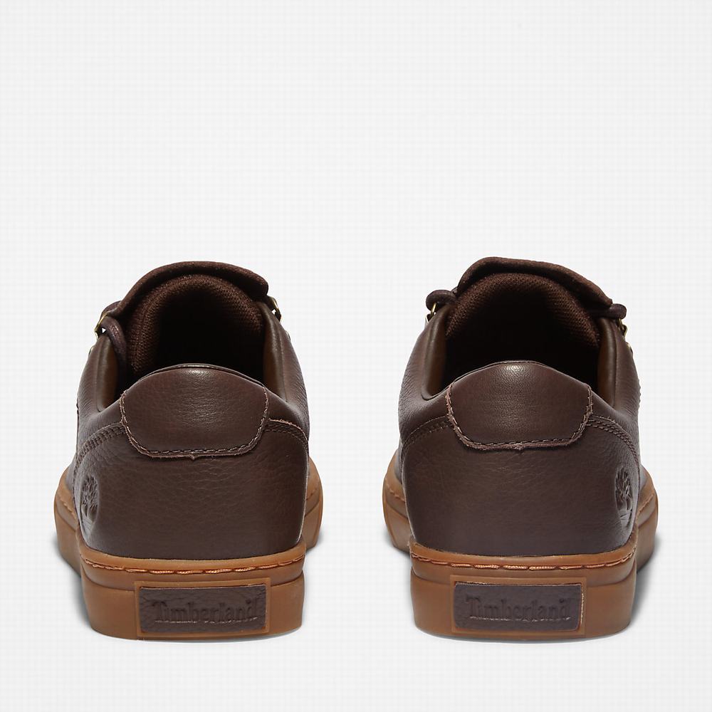 Timberland Adventure 2.0 Cupsole Alpine Spor Ayakkabı Erkek Koyu Kahverengi | TR-0319X