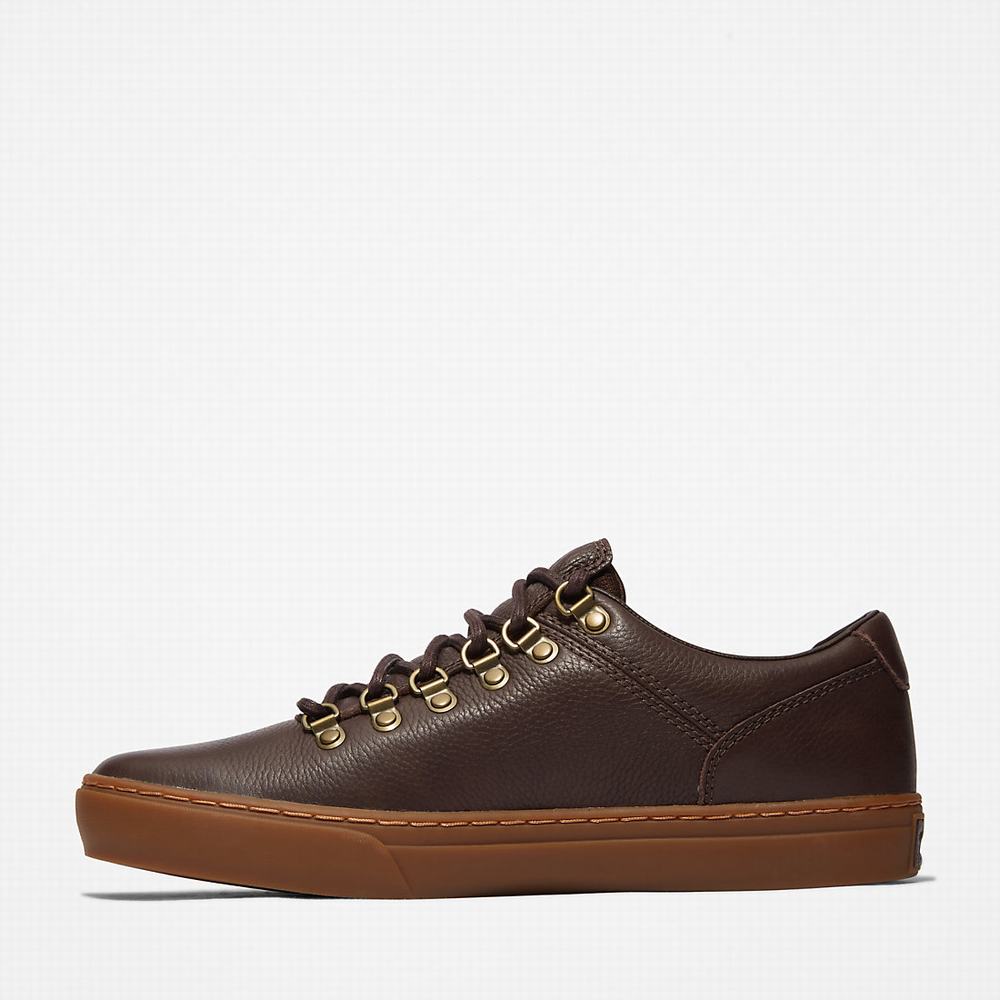 Timberland Adventure 2.0 Cupsole Alpine Spor Ayakkabı Erkek Koyu Kahverengi | TR-0319X