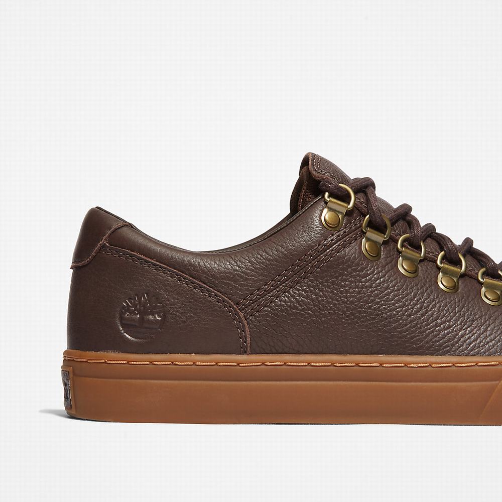 Timberland Adventure 2.0 Cupsole Alpine Spor Ayakkabı Erkek Koyu Kahverengi | TR-0319X