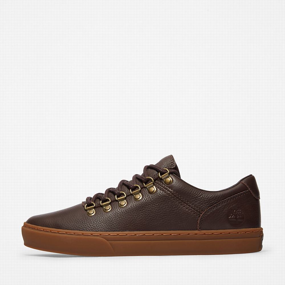 Timberland Adventure 2.0 Cupsole Alpine Spor Ayakkabı Erkek Koyu Kahverengi | TR-0319X