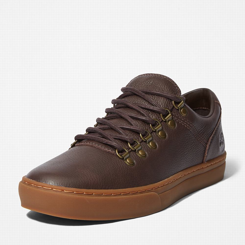 Timberland Adventure 2.0 Cupsole Alpine Spor Ayakkabı Erkek Koyu Kahverengi | TR-0319X