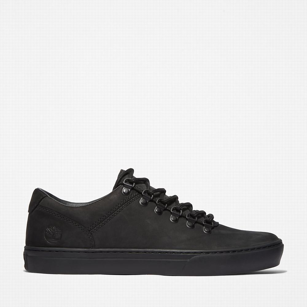 Timberland Adventure 2.0 Cupsole Alpine Spor Ayakkabı Erkek Siyah | TR-8654Z