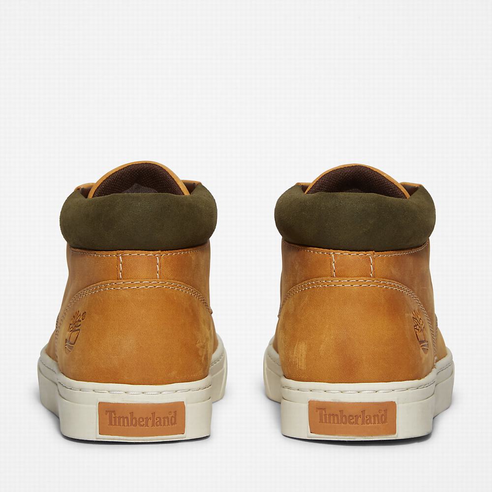 Timberland Adventure 2.0 Cupsole Chukka Bot Erkek Sarı | TR-9024L