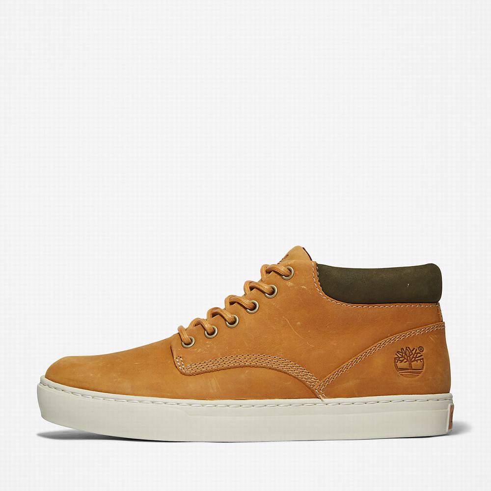 Timberland Adventure 2.0 Cupsole Chukka Bot Erkek Sarı | TR-9024L