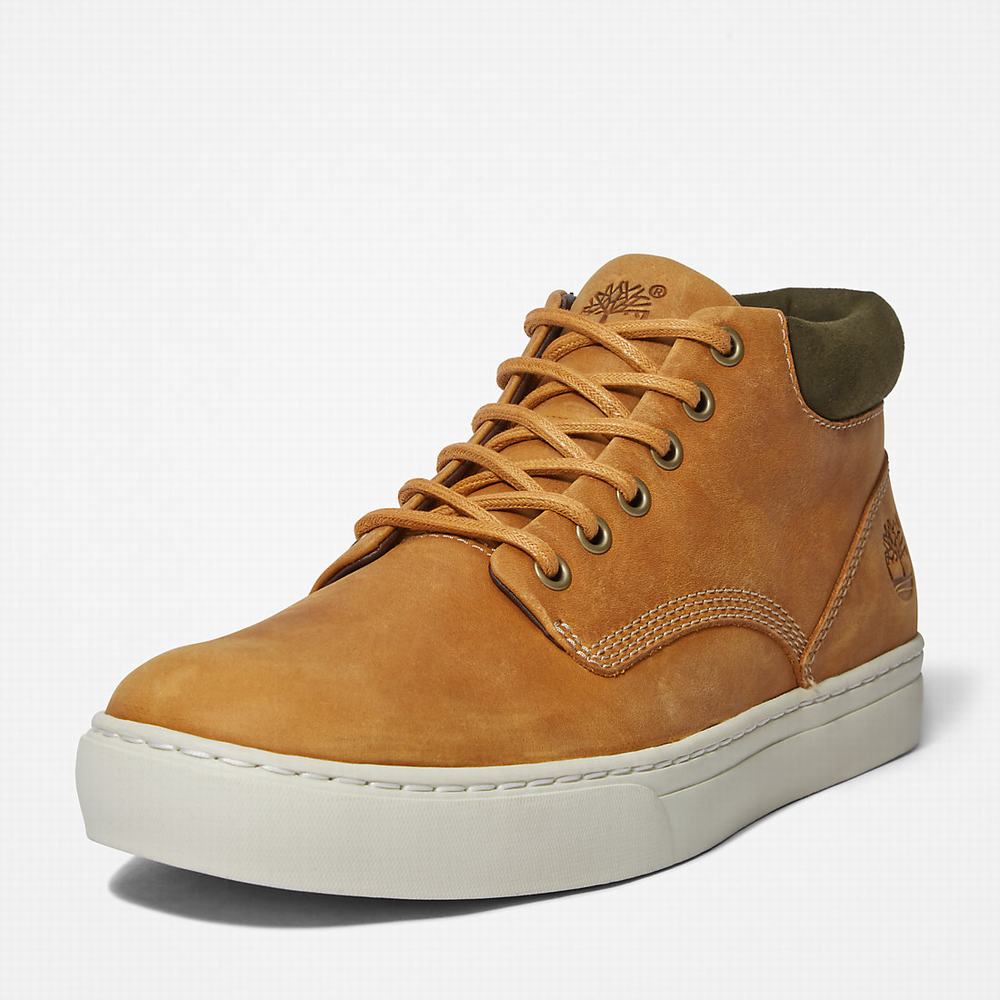 Timberland Adventure 2.0 Cupsole Chukka Bot Erkek Sarı | TR-9024L