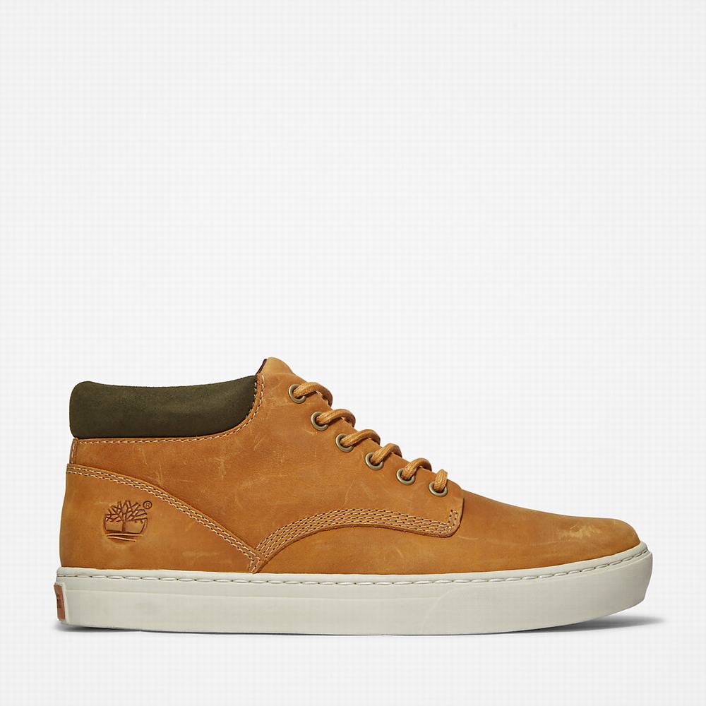 Timberland Adventure 2.0 Cupsole Chukka Bot Erkek Sarı | TR-9024L