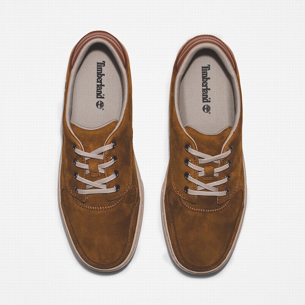 Timberland Adventure 2.0 Low Spor Ayakkabı Erkek Kahverengi | TR-6830B