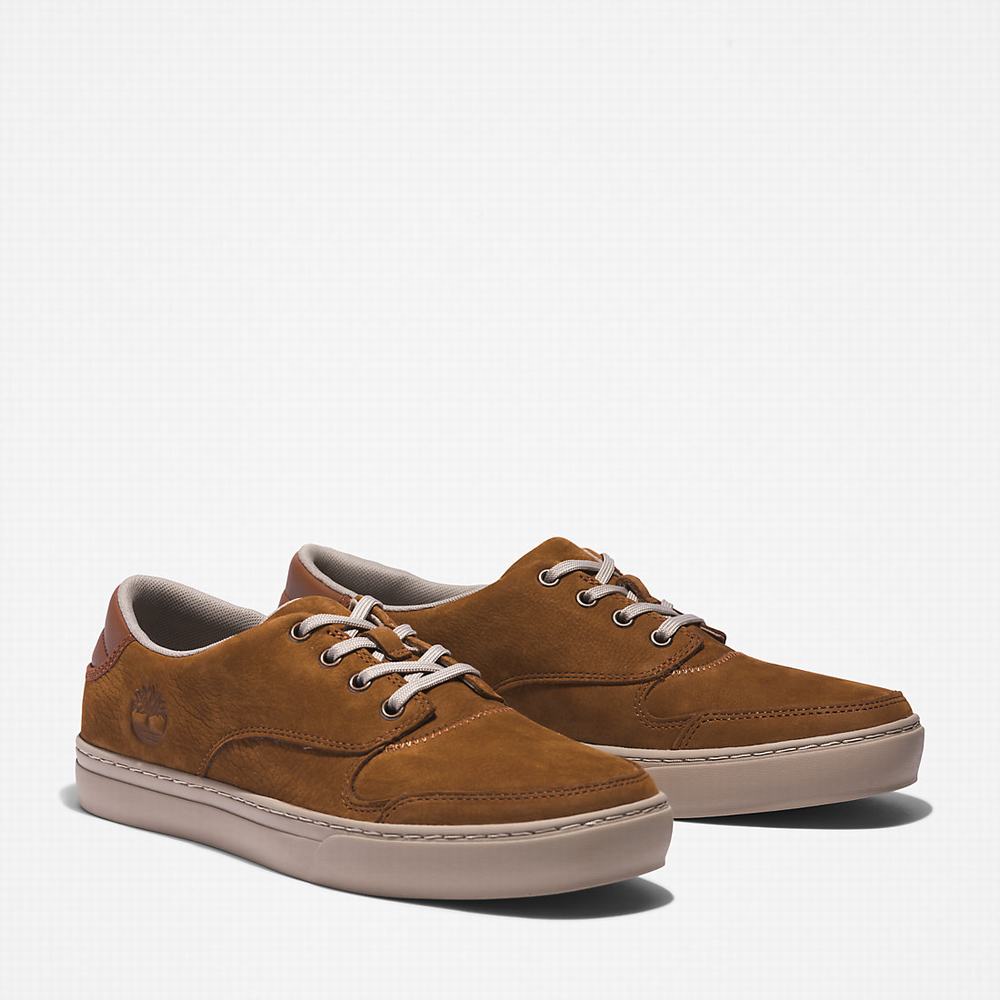 Timberland Adventure 2.0 Low Spor Ayakkabı Erkek Kahverengi | TR-6830B