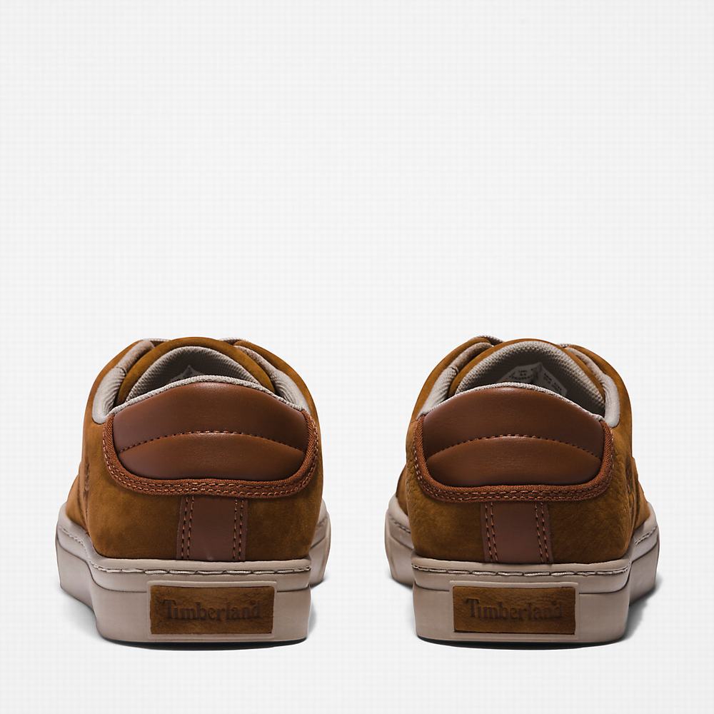 Timberland Adventure 2.0 Low Spor Ayakkabı Erkek Kahverengi | TR-6830B