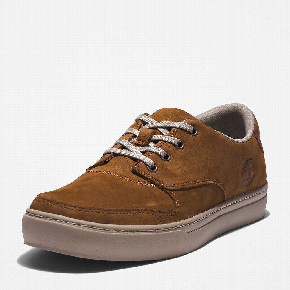 Timberland Adventure 2.0 Low Spor Ayakkabı Erkek Kahverengi | TR-6830B