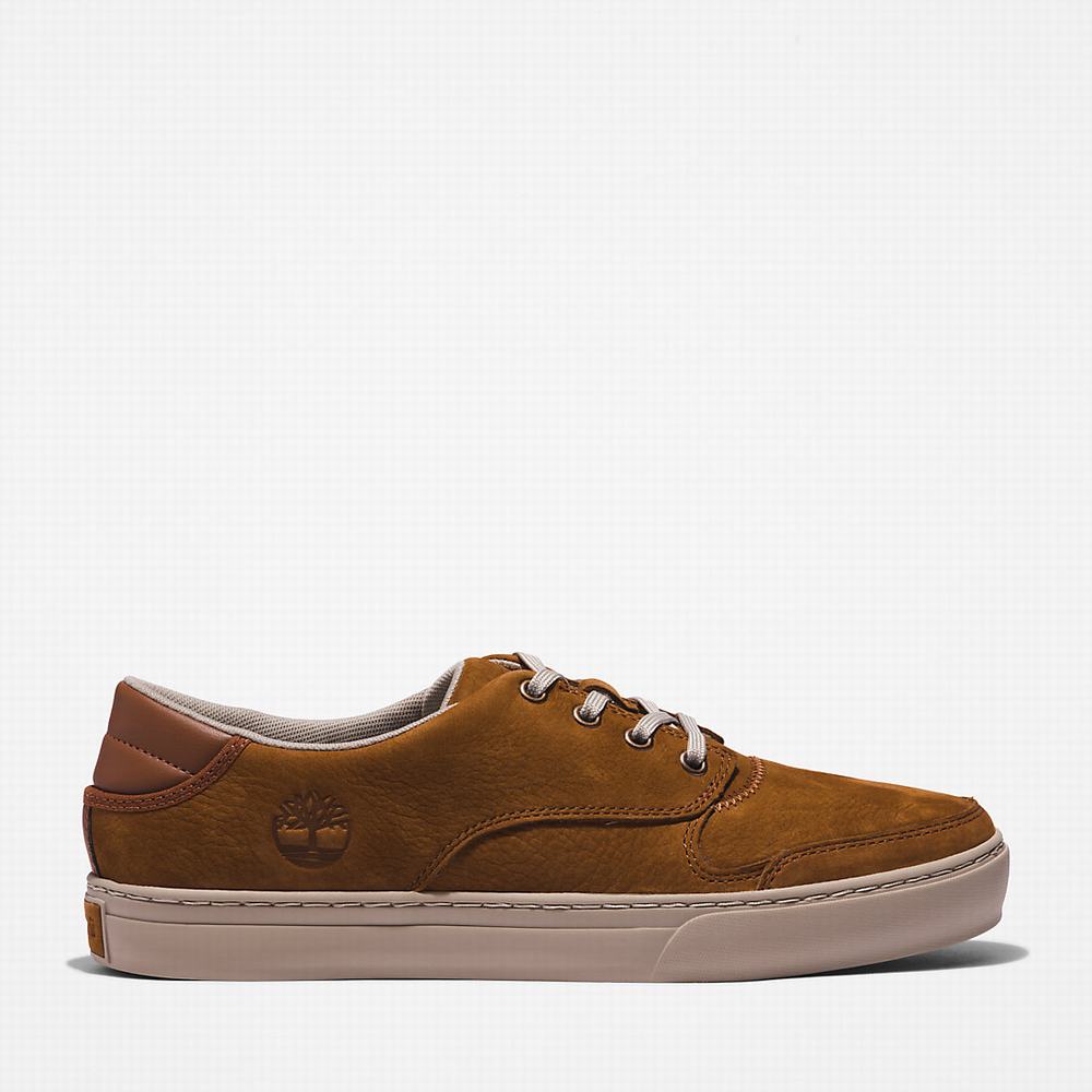 Timberland Adventure 2.0 Low Spor Ayakkabı Erkek Kahverengi | TR-6830B