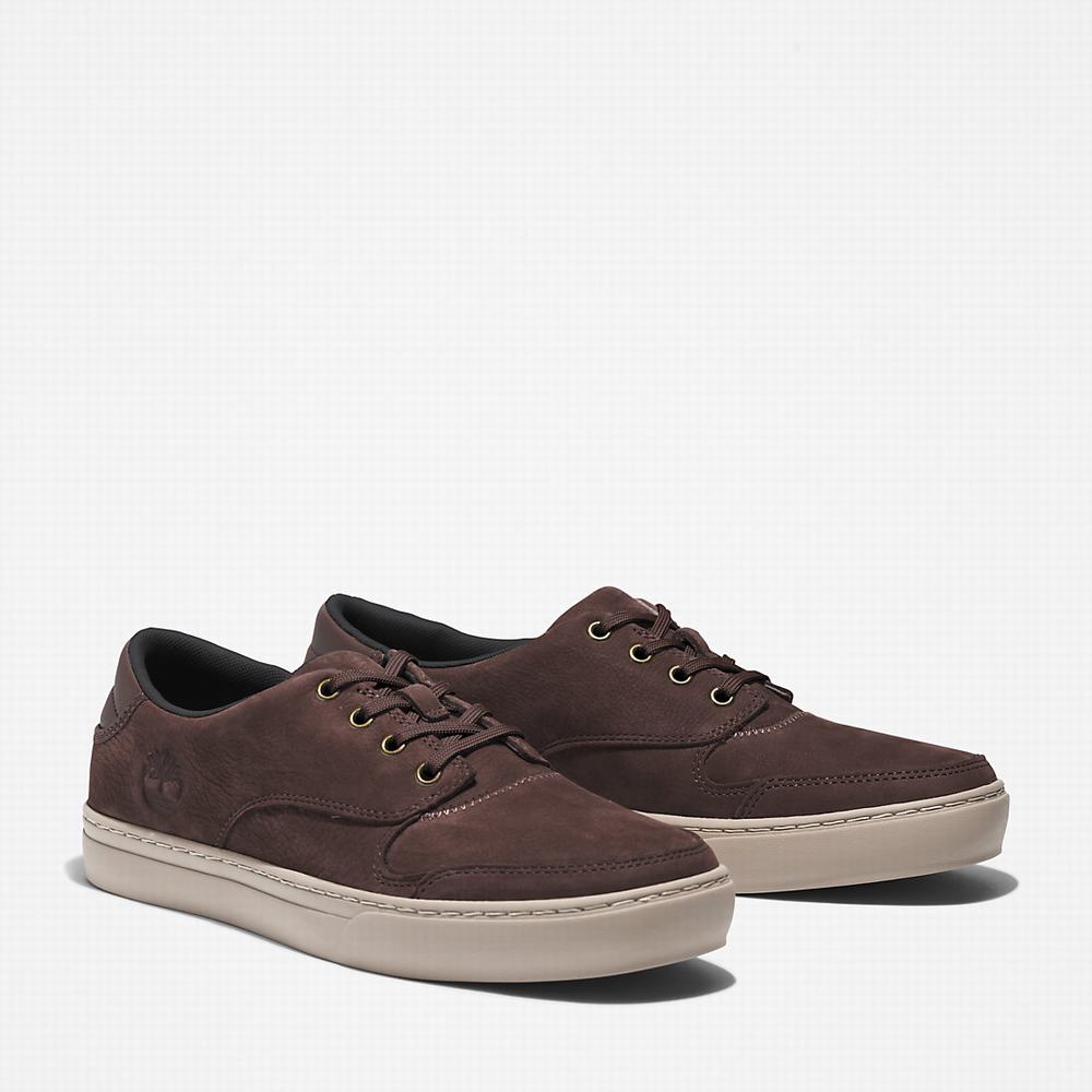 Timberland Adventure 2.0 Low Spor Ayakkabı Erkek Koyu Kahverengi | TR-8657N