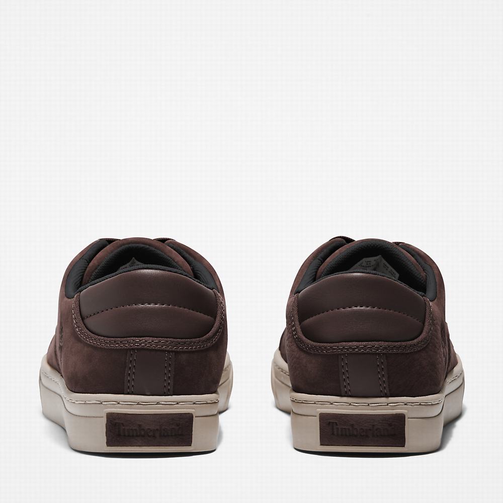 Timberland Adventure 2.0 Low Spor Ayakkabı Erkek Koyu Kahverengi | TR-8657N