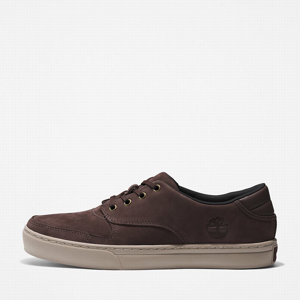 Timberland Adventure 2.0 Low Spor Ayakkabı Erkek Koyu Kahverengi | TR-8657N
