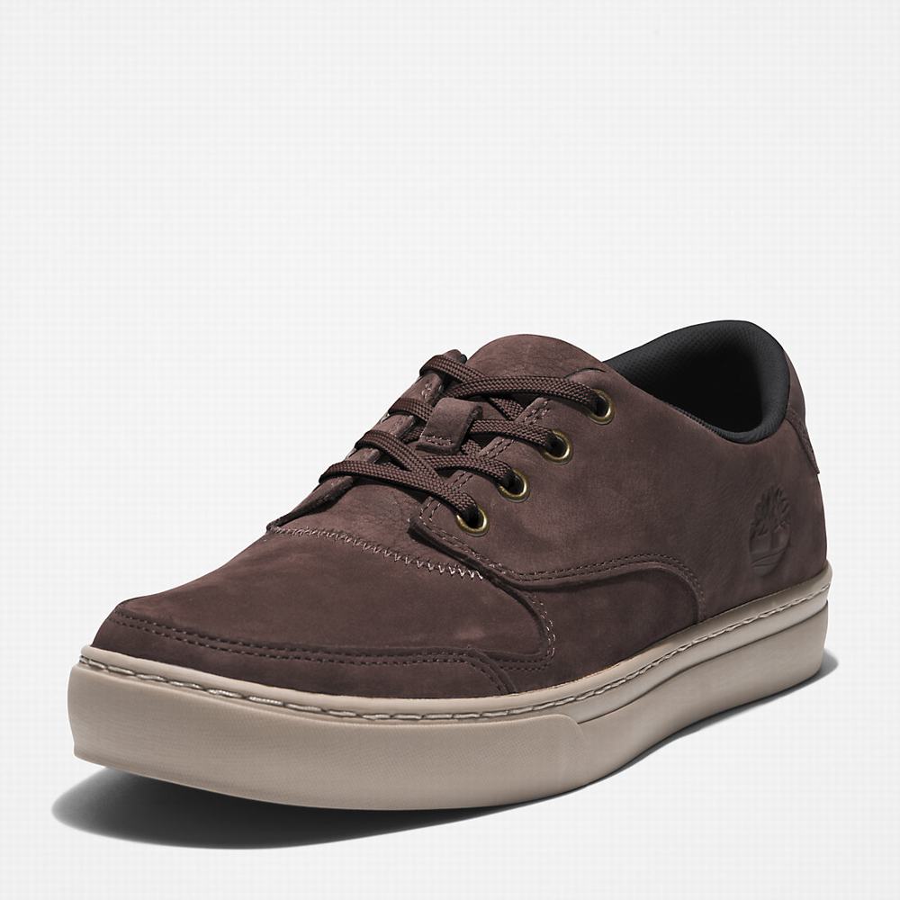 Timberland Adventure 2.0 Low Spor Ayakkabı Erkek Koyu Kahverengi | TR-8657N