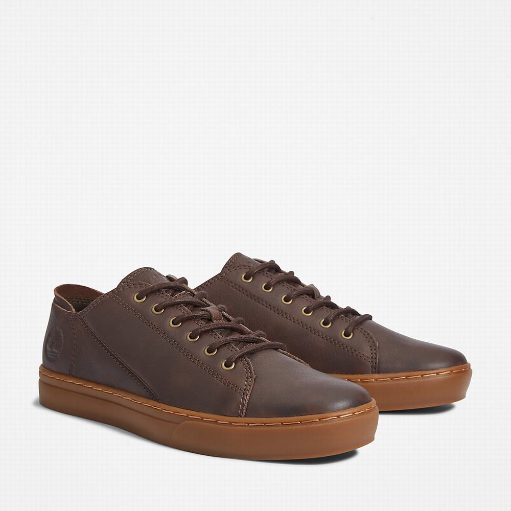 Timberland Adventure 2.0 Spor Ayakkabı Erkek Koyu Kahverengi | TR-1372W
