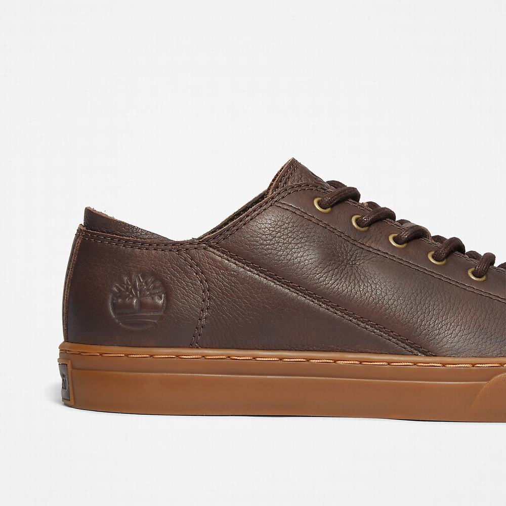 Timberland Adventure 2.0 Spor Ayakkabı Erkek Koyu Kahverengi | TR-1372W