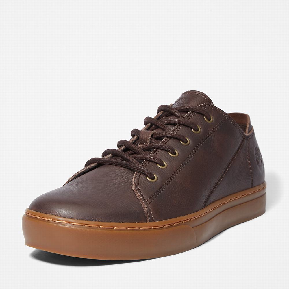 Timberland Adventure 2.0 Spor Ayakkabı Erkek Koyu Kahverengi | TR-1372W