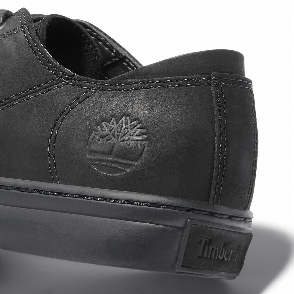 Timberland Adventure 2.0 Spor Ayakkabı Erkek Siyah | TR-1729T