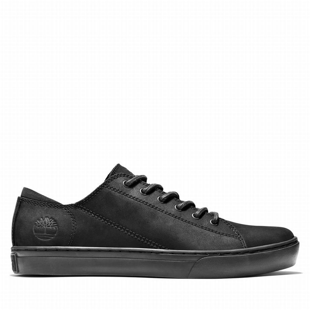 Timberland Adventure 2.0 Spor Ayakkabı Erkek Siyah | TR-1729T