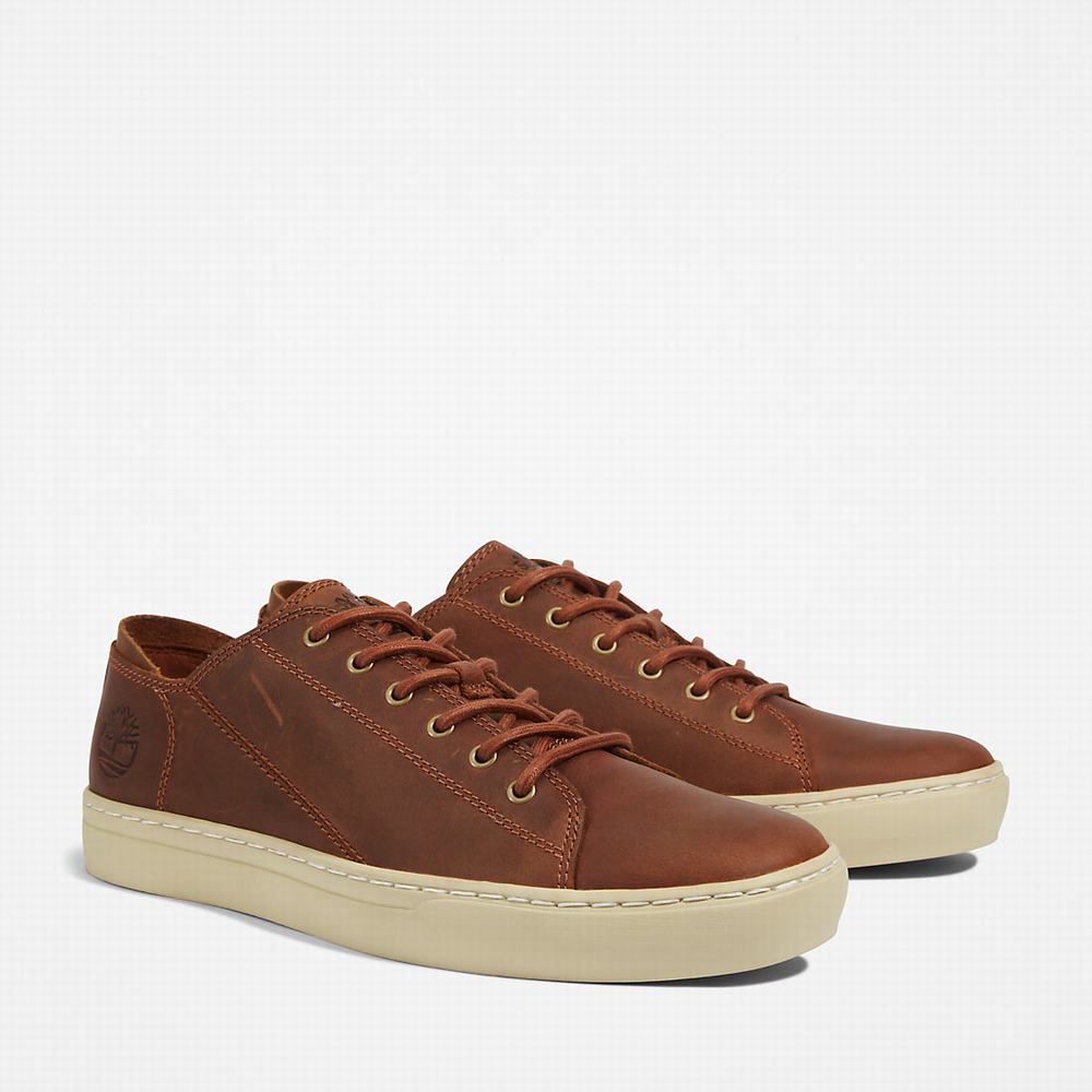 Timberland Adventure 2.0 Spor Ayakkabı Erkek Açık Kahverengi | TR-3729R