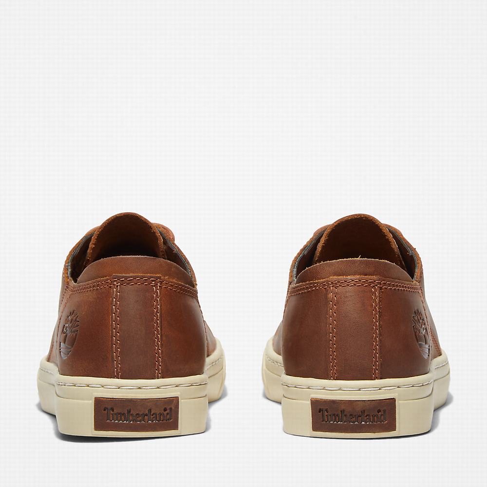 Timberland Adventure 2.0 Spor Ayakkabı Erkek Açık Kahverengi | TR-3729R