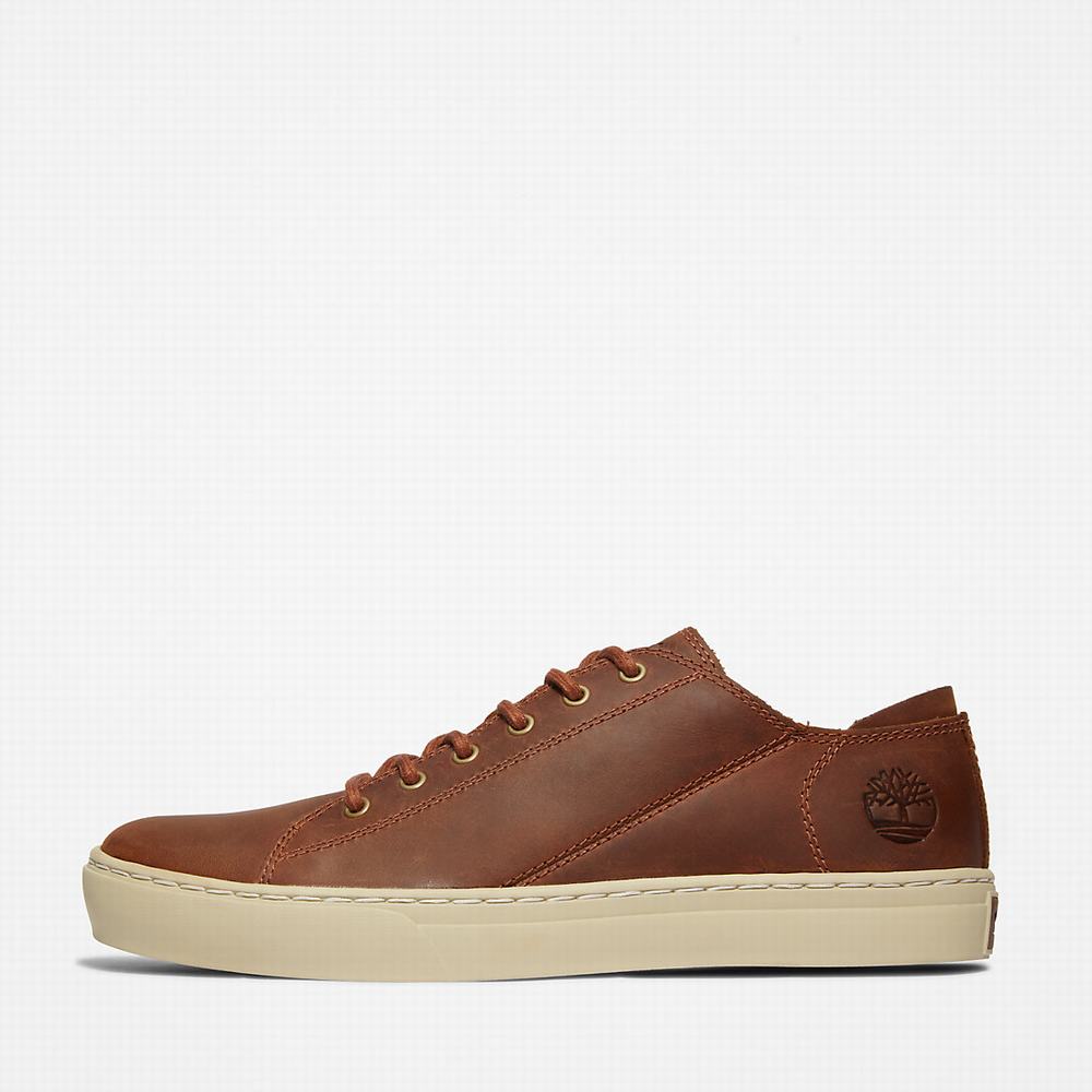 Timberland Adventure 2.0 Spor Ayakkabı Erkek Açık Kahverengi | TR-3729R