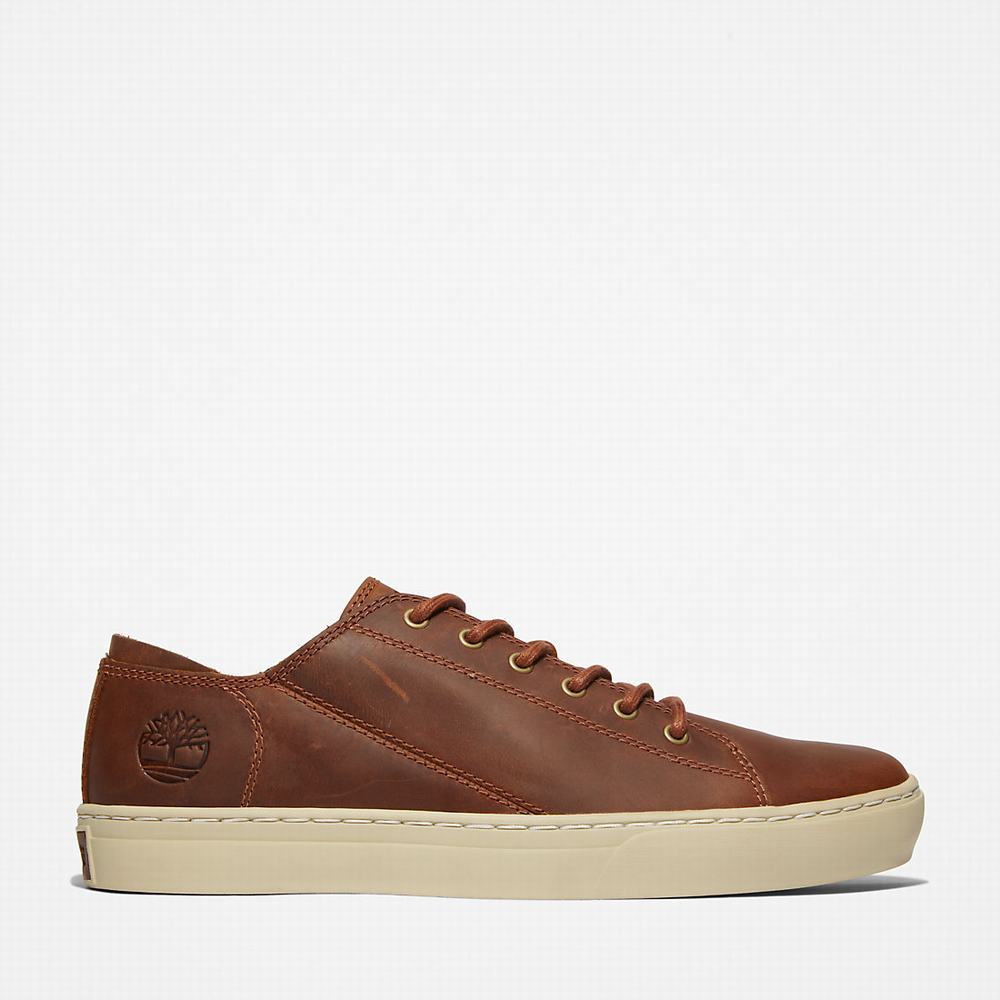 Timberland Adventure 2.0 Spor Ayakkabı Erkek Açık Kahverengi | TR-3729R