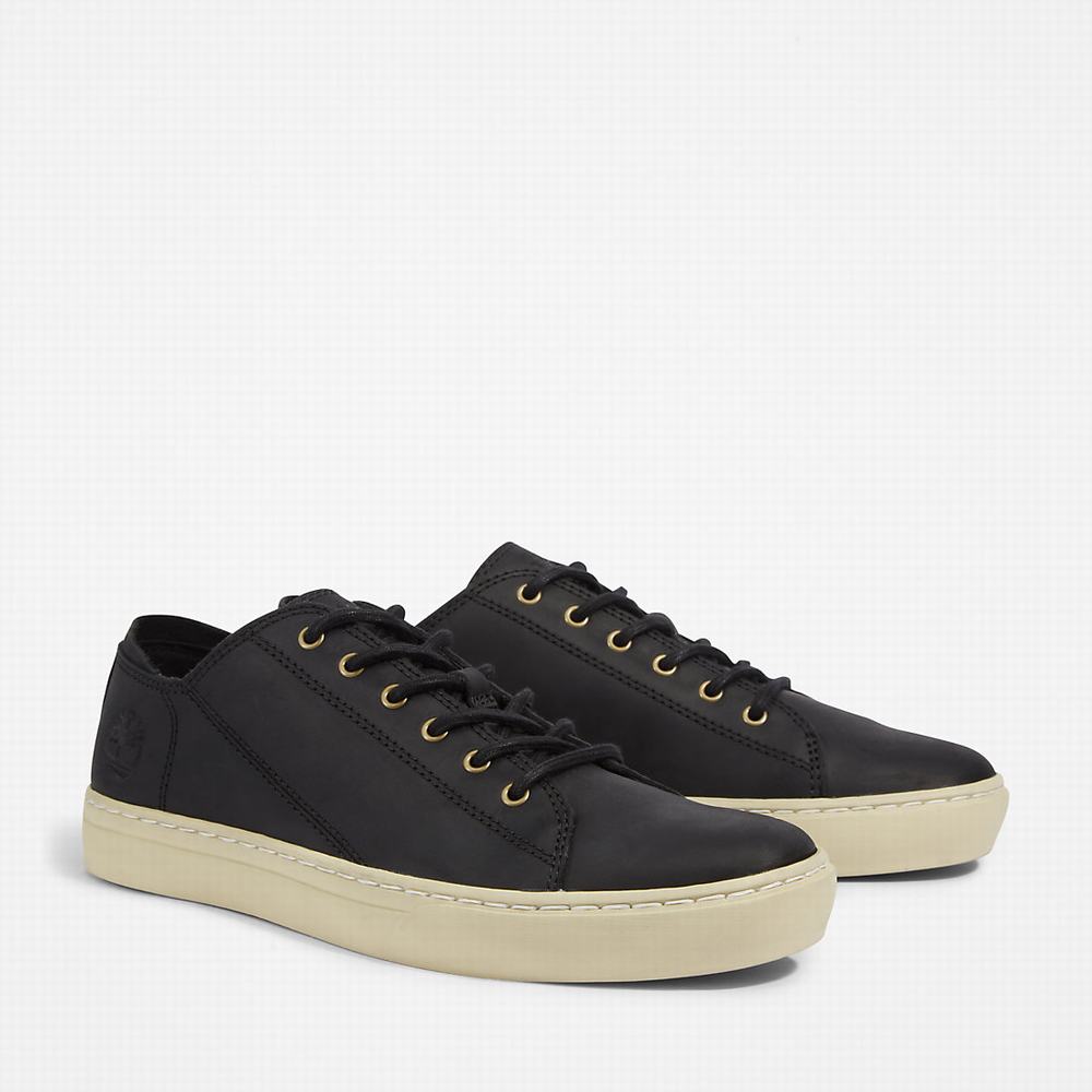 Timberland Adventure 2.0 Spor Ayakkabı Erkek Siyah | TR-5902Q