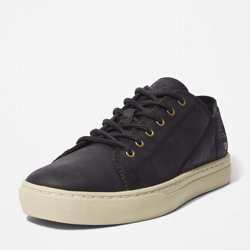 Timberland Adventure 2.0 Spor Ayakkabı Erkek Siyah | TR-5902Q