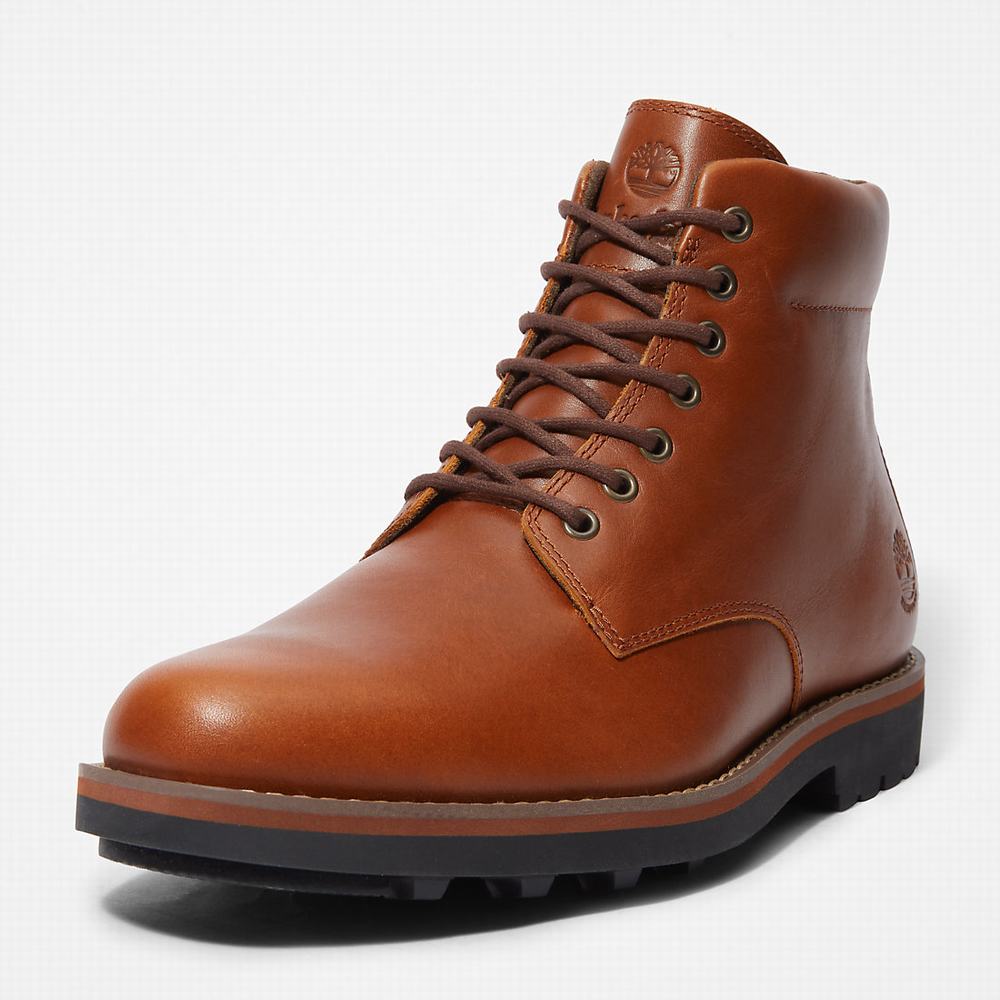 Timberland Alden Brook Side-Zip Bot Erkek Koyu Kahverengi | TR-4801D
