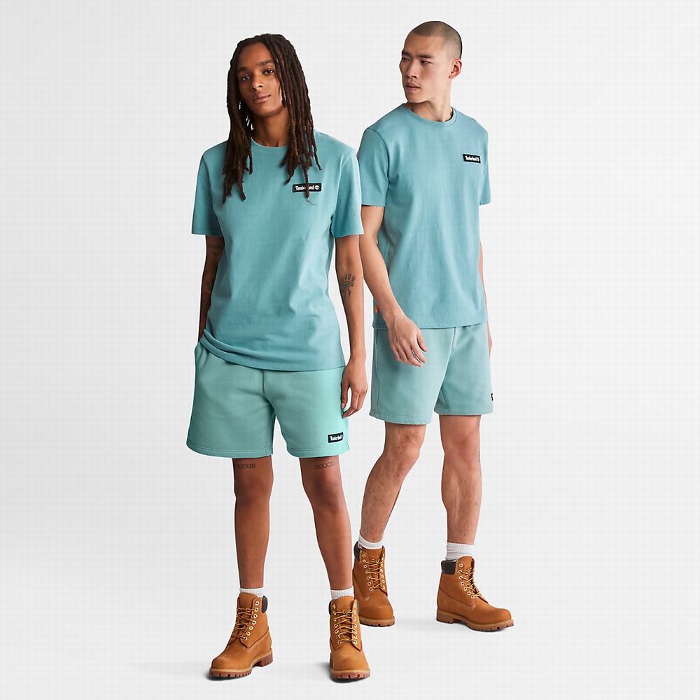 Timberland All Gender Heavyweight Badge Tişört Erkek Turkuaz | TR-7429Q