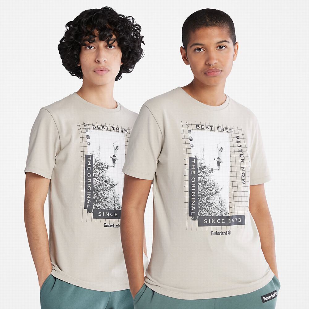 Timberland All Gender Heavyweight Front-Graphic Tişört Erkek Açık Gri | TR-9842G