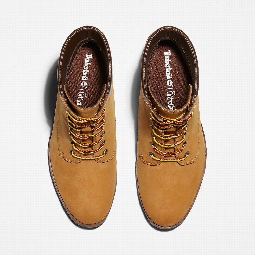 Timberland Allington 6 Inch Lace-Up Bot Kadın Sarı | TR-7364E