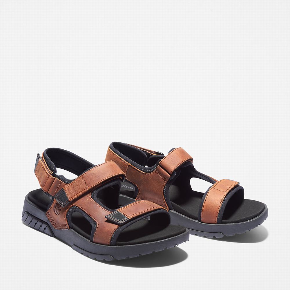 Timberland Anchor Watch Backstrap Sandalet Erkek Kahverengi | TR-9823M