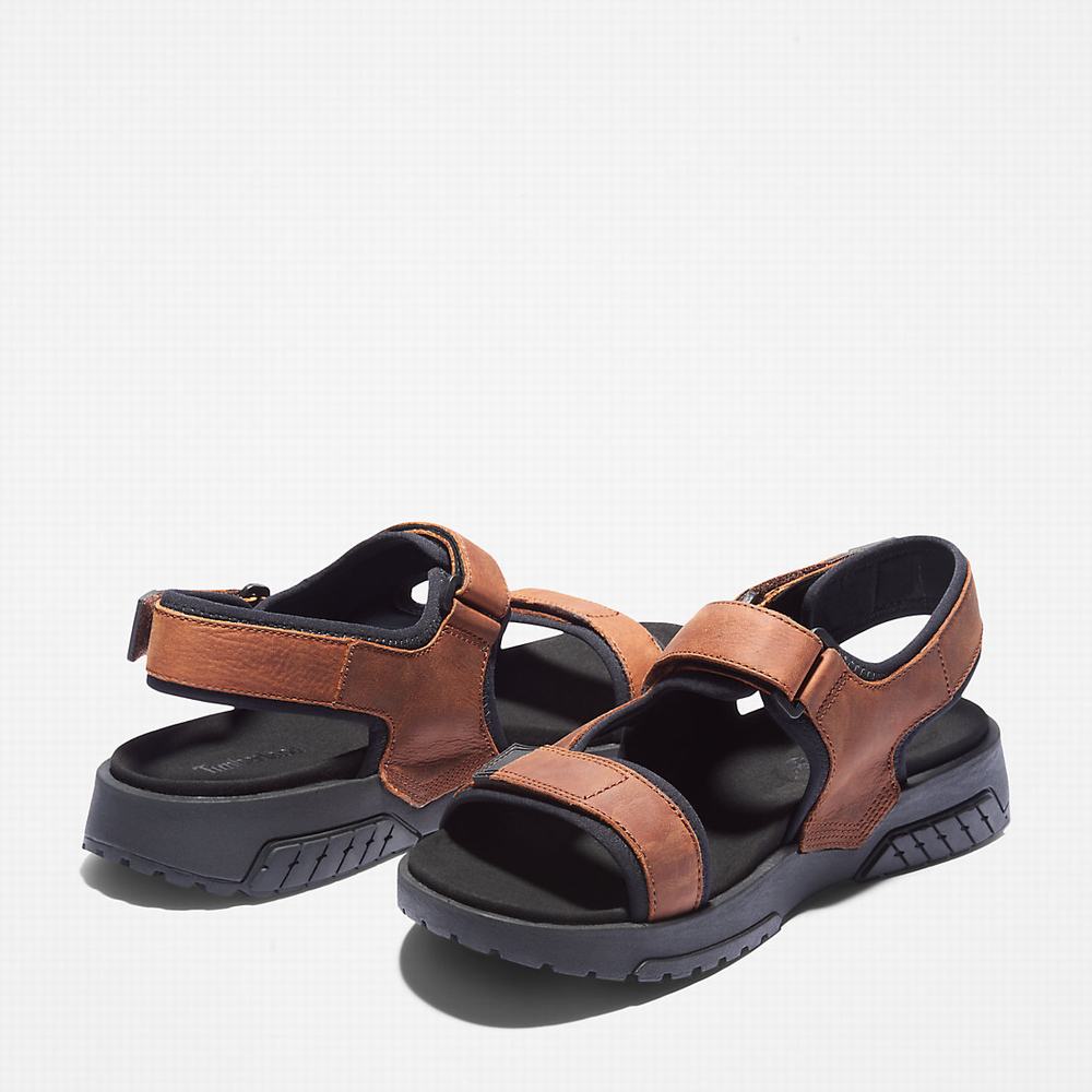 Timberland Anchor Watch Backstrap Sandalet Erkek Kahverengi | TR-9823M